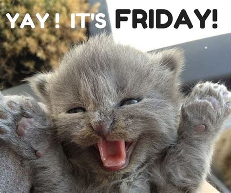 Yay Its Friday Pictures Photos And Images For Facebook