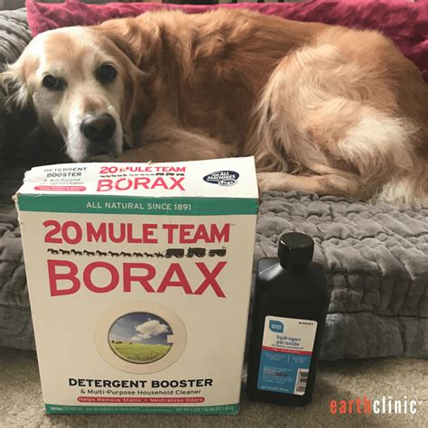 Teds Borax Cure For Mange 212 Reviews Earth Clinic®