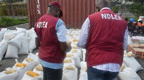 Do not pay anyone to register for the programme. NDLEA arrests 86 people for alleged drug trafficking | The ...