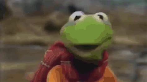 Kermit Dies In A Tragic Accident Youtube