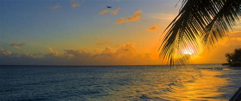 Download Wallpaper 2560x1080 Ocean Sunset Palm Beach