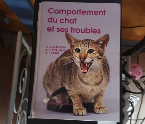 Comportement Du Chat Et Ses Troubles