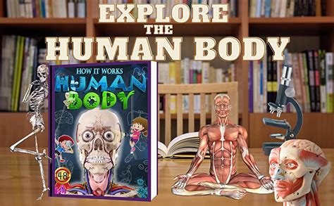 How It Works Human Body Book For Kids Ages 4 8 Éducation Pixa