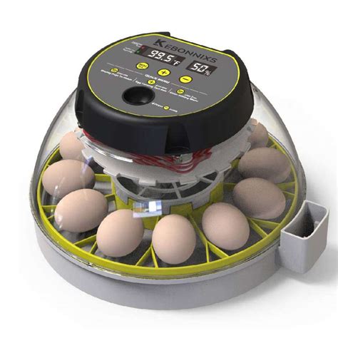 Best Automatic Egg Incubators In 2022