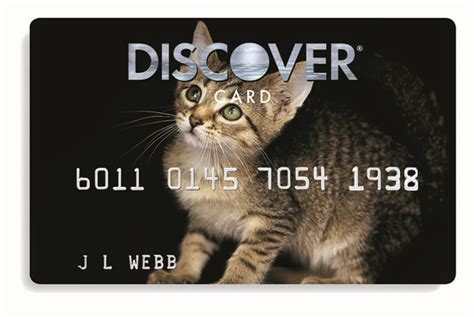 Our generators work on a similar pattern (luhn algorithm) like how credit card issuers create their credit cards for clients. Cat Design Credit Card: Sweet Sally | Sweet Sally, who could… | Flickr