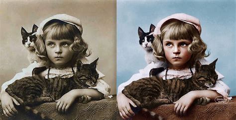 Girl With Two Cats Colorized Photograph By Louisshamurel On Deviantart