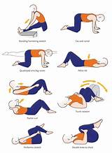 Lower Back Muscle Exercises At Home Pictures