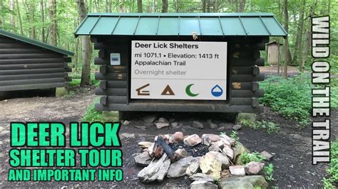 deer lick shelter appalachian trail pennsylvania youtube