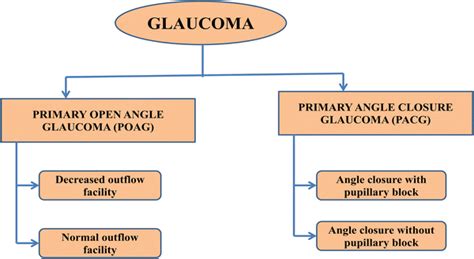 Types Of Glaucoma Glaucoma Can Be Classified Broadly As Primary