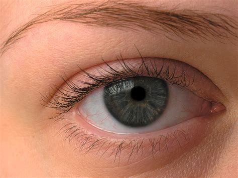 Rotes auge bedeutet eine gerötete bindehaut, als folge verstärkter durchblutung, als entzündungszeichen durch infektion, allergie oder fremdkörper. Lidrandentzündung (Blepharitis): Behandlung, Symptome