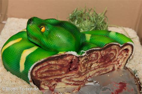 Миксер royal kuchen в магните блендер royal kuchen за наклейки в магните тостер royal kuchen в магните кастрюля royal kuchen 6 л/24 см. Grüne Baumboa als Torte | Motto-Torten.de