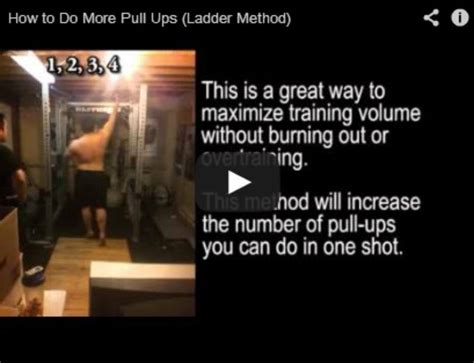 The Weider System Of Progressive Barbell Exercise Physical Culturist