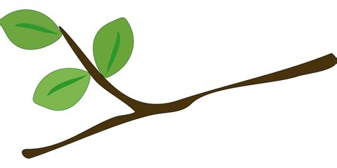 Ramas Vector Png Tree Branch Clip Art Transparent Png