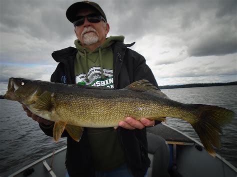 Basswood Lake BWCA Duluth Gunflint Trail North Shore Lake Superior Fishing Reports Hunting