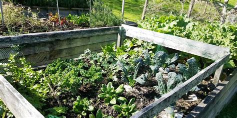 Organic pest control for los angeles, san diego and most southern california. 10 Winning Organic Garden Pest Control Methods | Green ...