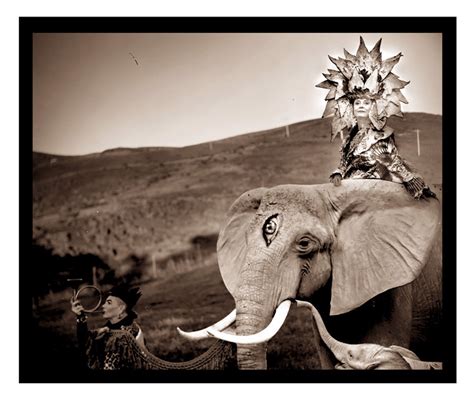Elephant By Natalia Bertotti And Michael Garlington Slate Art