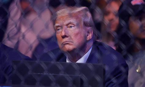 Who Are Donald Trump S Favorite Fighters From The UFC Roster Dana