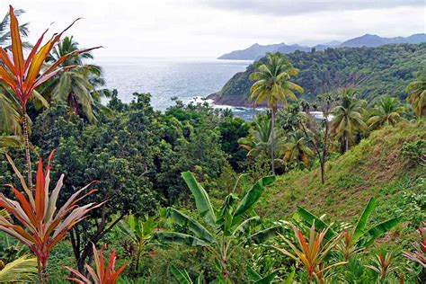 How To Plan The Perfect Visit To Dominica The Caribbeans Nature Island