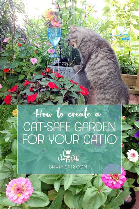 Toxic Plants For Cats Cat Safe Plants Cat Plants Benny And Joon Cat