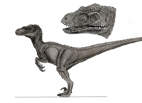 Jurassic Park 3 Female Raptor By Yankeetrex On Deviantart