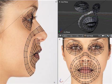 need a reference pictures for face loops of human head support modeling blender artists