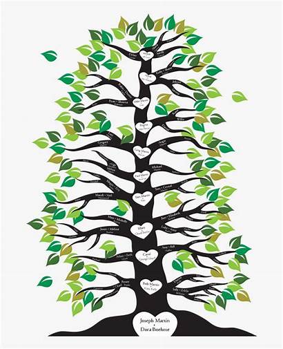 Tree Roots Clipart Root Branch Branches Transparent