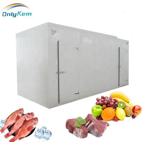 Frozen Room Equipment Blast Freezer Cold Storage For Meat And Fish