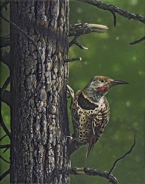 Oregon Birds Exquisitely Captured In Wildlife Art Paintings By Tom Mital