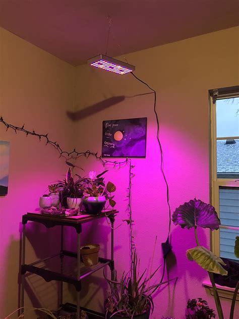How To Hang Grow Lights From Ceiling Shelly Lighting