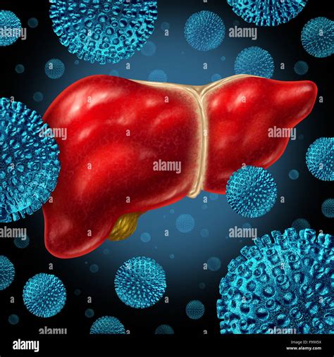 Liver infection as a human liver infected by the hepatitis virus as a