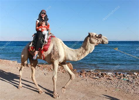Woman On Camel Stock Editorial Photo © Paulprescott 39913081