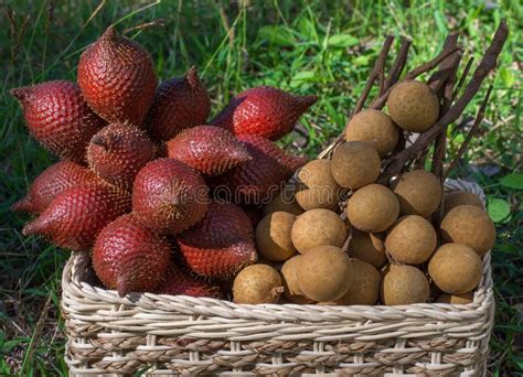 Longan And Snake Fruit In A Wicker Basket On A Green Lawn Stock Photo