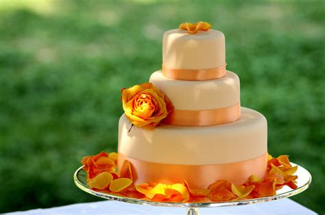 Cake Full Hd Wallpaper And Background Image 3600x2380 Id276638