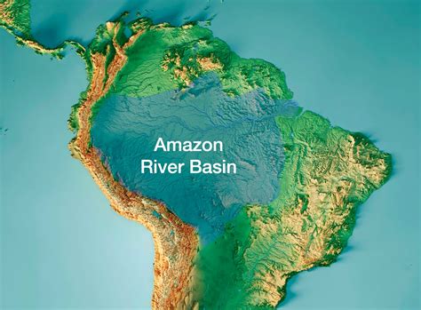 The Amazon Rainforest - by Tomas Pueyo