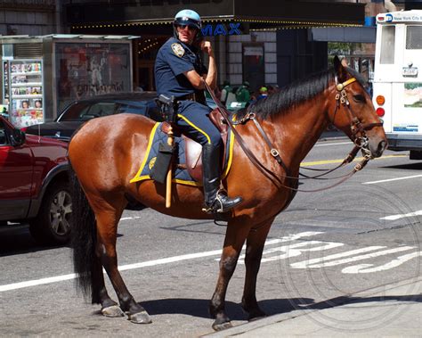 Nypd Mounted Police Officer On Horseback Times Square New York City