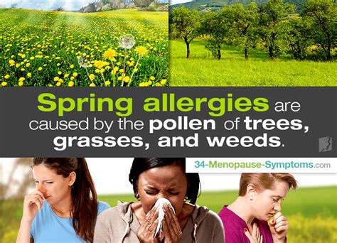 Spring Allergies Symptoms And Causes Menopause Now