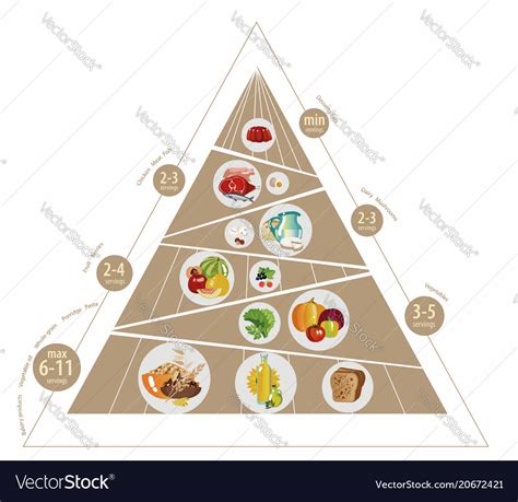Food Pyramid Royalty Free Vector Image VectorStock