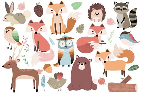 Woodland Forest Animals Clipart Set Custom Designed Illustrations