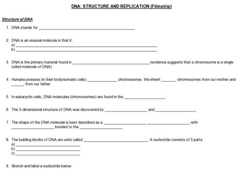 Describe the origin of each strand of the new double helices created after dna replication. Dna And Replication Worksheet Answers Label The Diagram - Juleteagyd