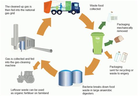 Food Waste Recycling — American Sustainable Recycling