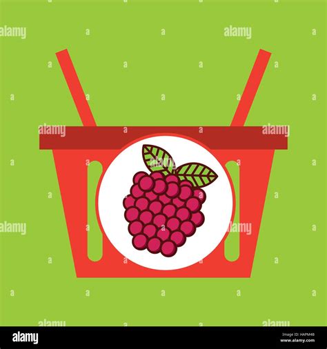 Baskets Raspberries Stock Vector Images Alamy