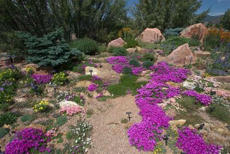 Best Xeriscape Ground Cover Ground Cover Is Best
