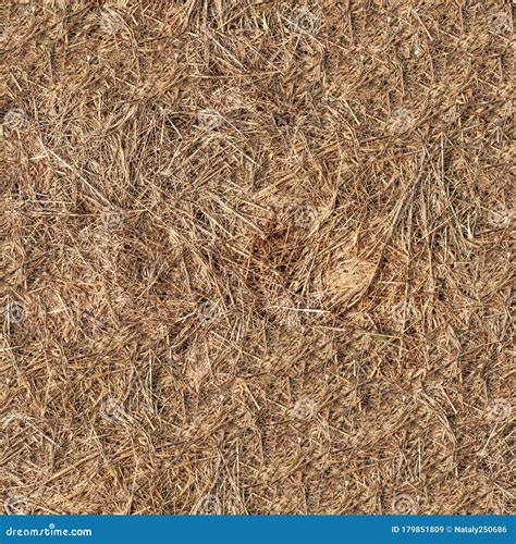 Seamless Dry Grass Hay Texture Stock Image Image Of Yellow Straw