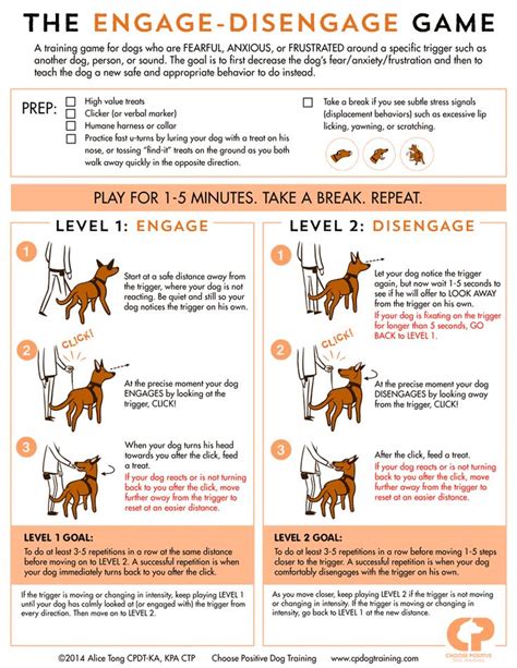 Desensitization Reactive Dog Dog Training Obedience Dog Training Tips