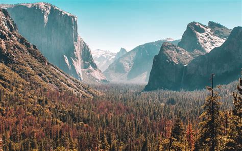 Forest Mountain Yosemite Valley 5k Imac Wallpaper Download