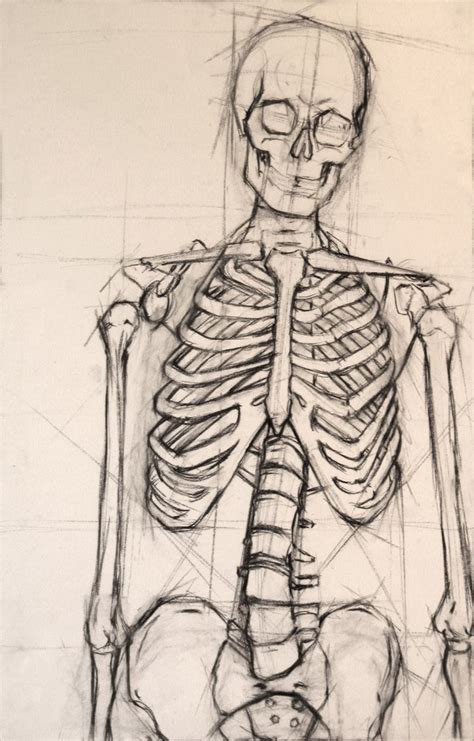 Skeleton Illustration Skeleton Drawings Anatomy Art Skeleton Art
