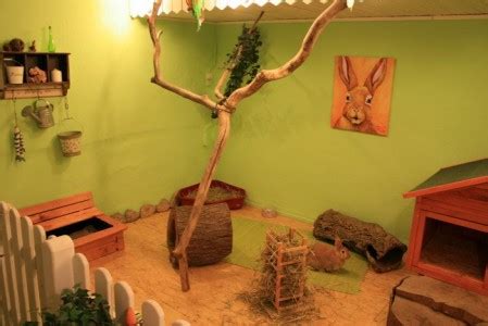 Wir nutzen die wohnung jetzt nicht mehr zum wohnzweck und die tierhaltung umfasst im mietvertrag nur zierfische und vögel. kaninchen wohnung e - Kaninchen Ratgeber