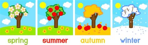 Four Seasons Apple Tree Life Cycle Of Tree With Titles Stock Image