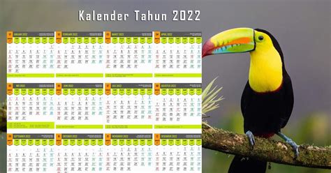 Download Kalender 2022 Lengkap Format Pdf Dan Cdr Siap Edit Gambaran