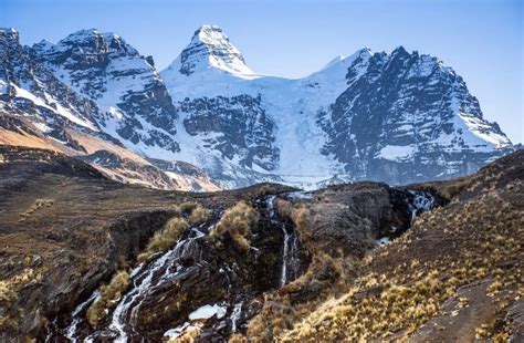 Andean Mountains Scientists Find New Rare And Rediscovered Species